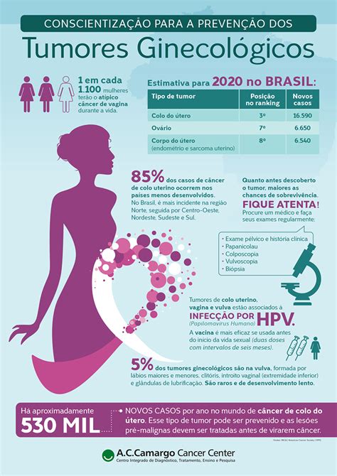 Tumores Ginecol Gicos Um Infogr Fico Para A Preven O