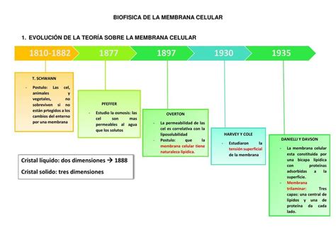 Resumen De Biof Sica De La Membrana Celular Arami Sosa Udocz