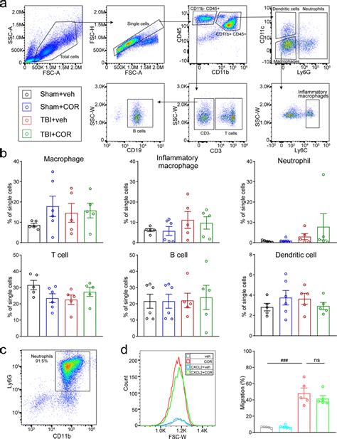 Effect Of Cordycepin On Immune Cells A Illustration Of Flow Cytometry