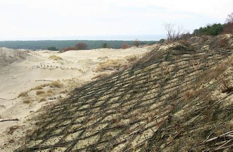 Дюна Эфа, Россия — подробная информация с фото