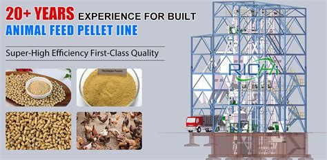 Poultry Feed Manufacturing Plant In Tanzania RICHI Pellet Machine