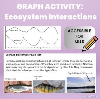 Graph Activity: Biotic/Abiotic Interactions (+ MLL version) by RoseCsci