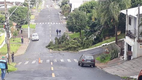 Vento forte destelha casas e derruba árvores no bairro Scharlau em São