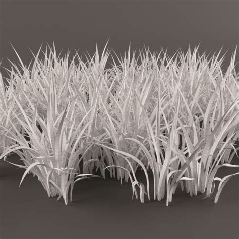 Grass Clump 3d Model 4 3ds Fbx Max Obj Free3d