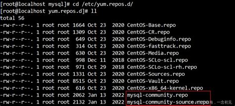 Linux安装MySql8 0详细教程 linux mysql8 0安装 CSDN博客