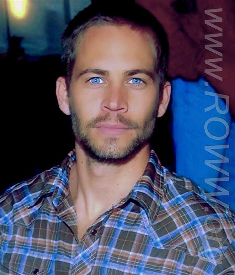 Paul Walker Paul Walker Movies Actor Paul Walker Rip Paul Walker Cody Walker Most Beautiful