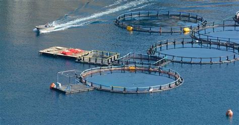 What Is Aquaculture Principles Systems And Management Basic