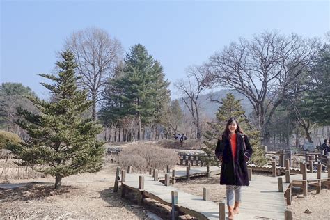 Winter in Seoul DIY Itinerary & Travel Guide - Wander B