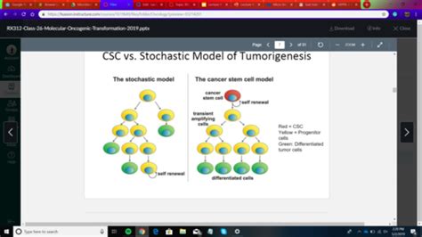 Lecture 26: Molecular Mechanisms of Oncogenic Transformation Flashcards | Quizlet