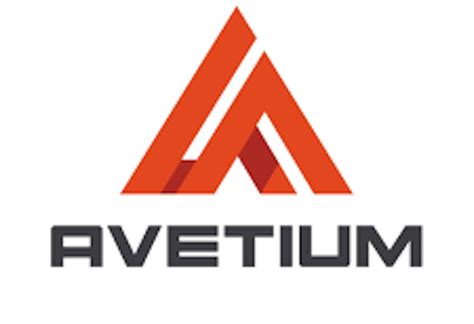 Avetium Consult Engages Zoho Users To Enhance Optimisation Thisdaylive