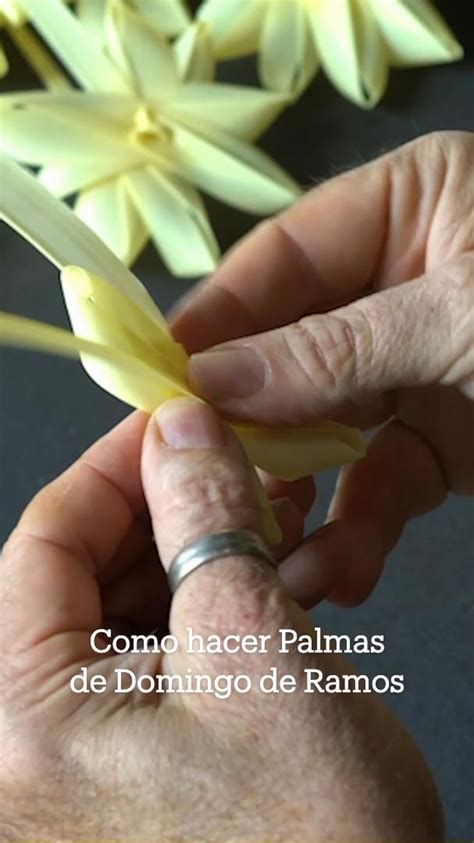 Como Hacer Palmas De Domingo De Ramos Tutorial Flor Doble Palmas De