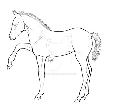 P2u Foal Lineart By Pipsqueak09 On Deviantart