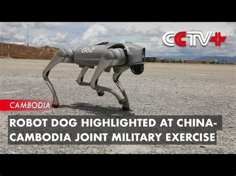 Video Shows China's Rifle-Equipped Robot Dog Opening Fire on Targets