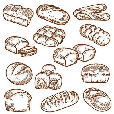 Bread Vector Art, Icons, and Graphics for Free Download