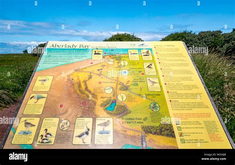 Map information board with coastal bird information, Aberlady Nature ...