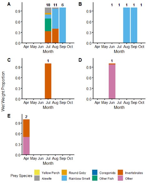 Chinook Salmon Average Proportion Of Prey Based On Wet Weight