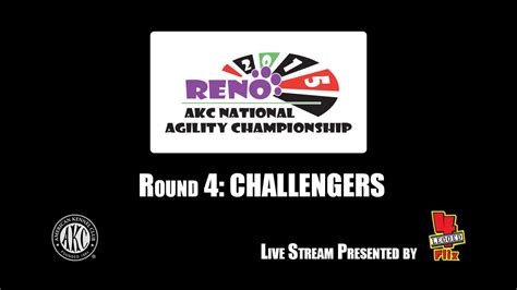 2015 AKC National Agility Championship Challengers Round YouTube