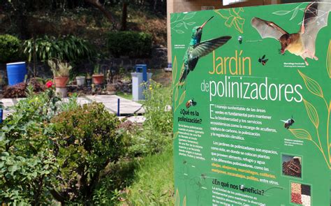 Instala La Unam Jardines Para Que Polinizadores Obtengan Alimento