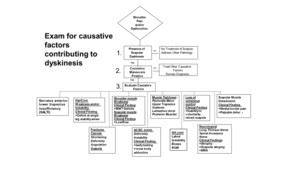 Current Views Of Scapular Dyskinesis And Its Possible Clinical