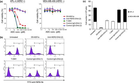 Bystander Killing Effect Of DS8201a A Novel Antihuman Epidermal