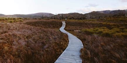 Best hikes in Tasmania: The top 5 hiking trails