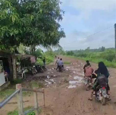 Jalan Penghubung Antar Desa Di Telang Jaya Telang Makmur Rusak Parah