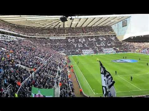 Newcastle Vs Brighton Wor Flags Display St James Park Atmosphere