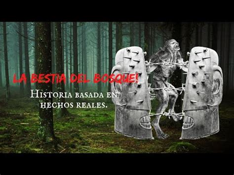 Historia Basada En Hechos Reales La Bestia Del Bosque Youtube