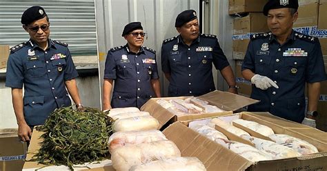 Ikrar Sayur Rupanya Daging Anak Babi Sejuk Beku Bernilai RM1 04 Juta