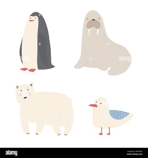 Ocean Sea Creatures And Animals Set Walrus Penguin Polar Bear