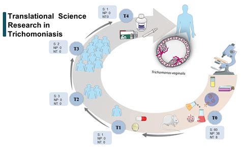 Trichomoniasis Treatment