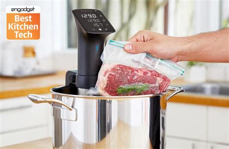 A Beginner S Guide To Smart Sous Vide Engadget