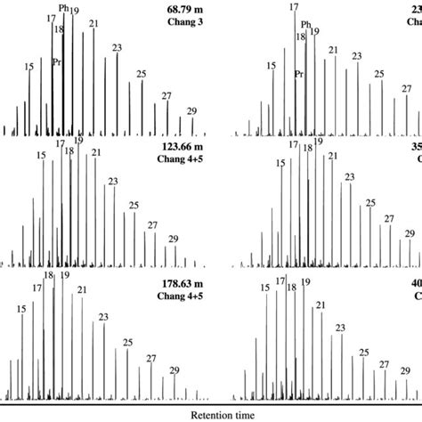 Representative Mass Chromatograms Of M Z 57 Showing The Distribution Of