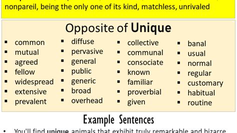 Sentences With Unique Definition And Example Sentences 42 Off