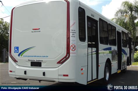 CAIO Entrega Ônibus Apache Vip Para A Viação Pássaro Branco