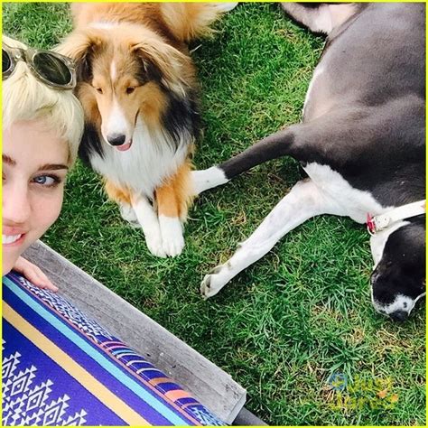 Full Sized Photo Of Miley Cyrus Bikini Grinds Against Pole Video Miley Cyrus Bikini