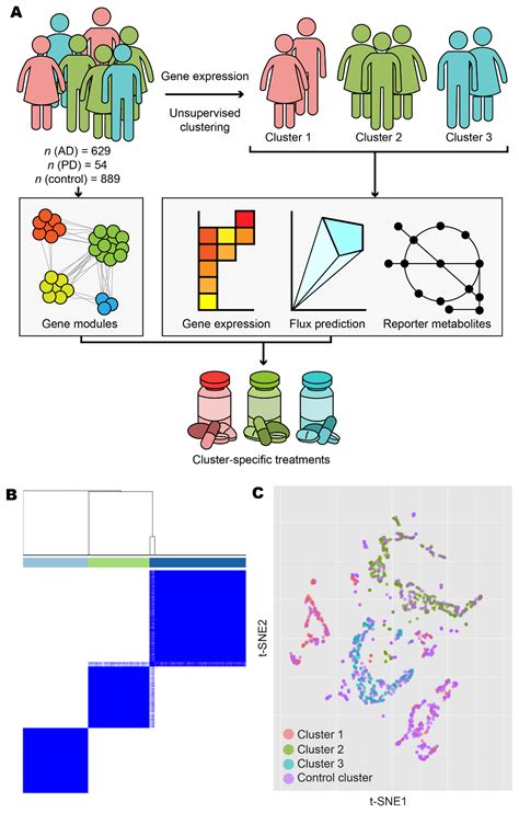 Biomedicines Free Full Text Systems Analysis Reveals Ageing Related