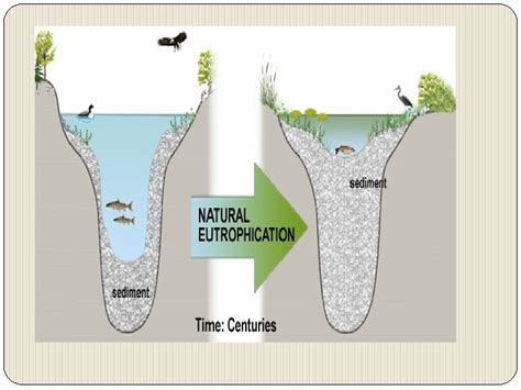 Water Pollution Examples of Polluted Waters WATER POLLUTION