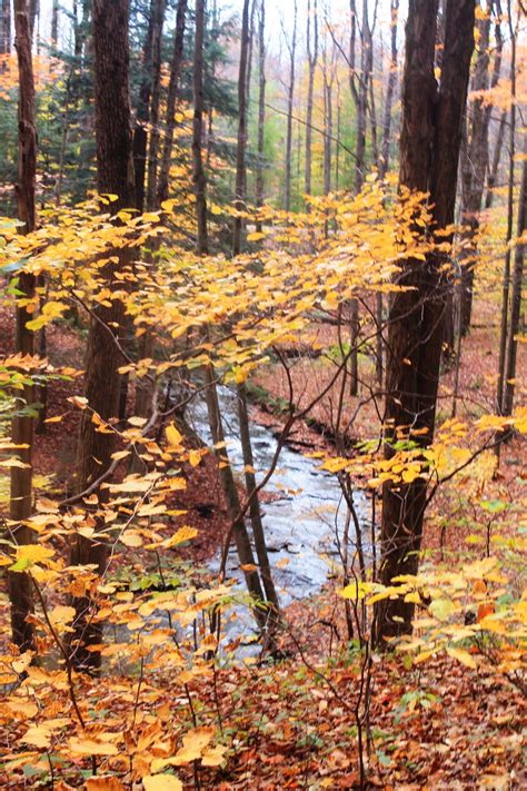 Chautauqua Gorge State Forest Andy Arthur Org