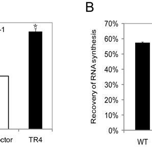 Fig S Tr Is Involved In Tc Ner But Not Gg Ner Pathway A Cv