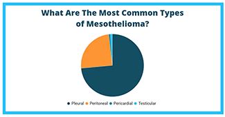 Testicular Mesothelioma Survival Rates