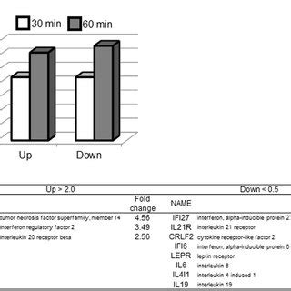 Gene Expression Changes Induced By Hyperthermia In Human Cardiac