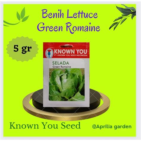 Jual Benih Selada Lettuce Green Romaine 5gr Original Known You Seed