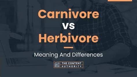 Carnivore vs Herbivore: Meaning And Differences