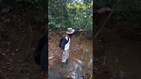 Menjelajah Hutan Mencari Spot Mancing Youtube