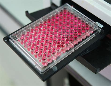 Which Microplate Is Best For Your Assay