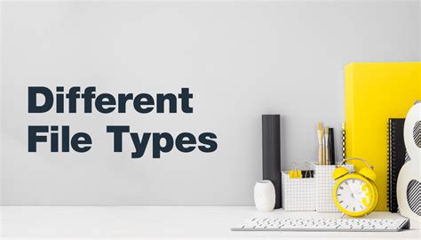 The Different Types of Files and How to Use Them