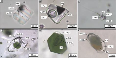 Photomicrographs A E Plane Polarized Transmitted Light F