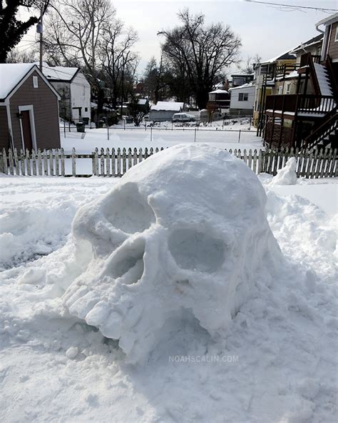 Snowmageddon Skull