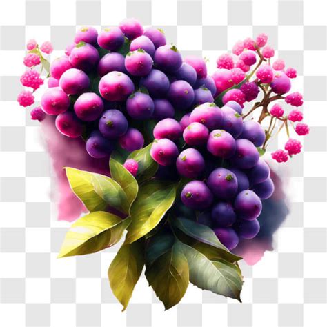 Descarga Ramo de Uvas Moradas y Flores Rosadas PNGs En Línea Creative